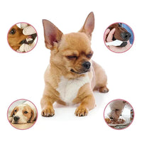 DENTAL CLEAN- SPRAY DENTAL PARA MASCOTAS