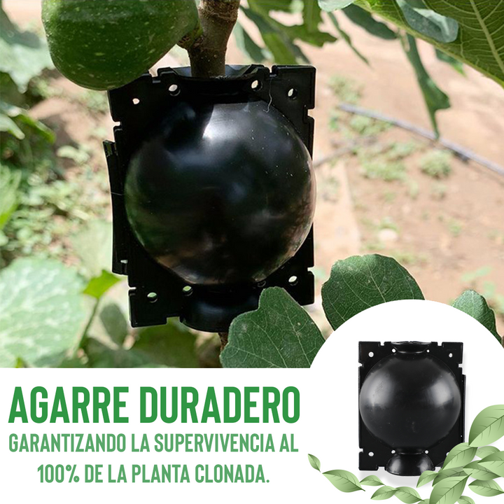 GERPLANT- CULTIVADOR RAICES PLANTAS (PAQUETE X 5)